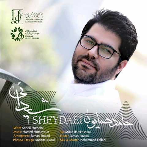 Hamed Homayoun Sheydaei